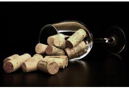 Rentabilité Cave à Vin : Investir et Gagner de l'Argent